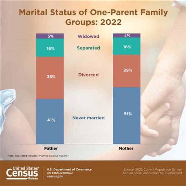Pregnancy And Marital Status Explored