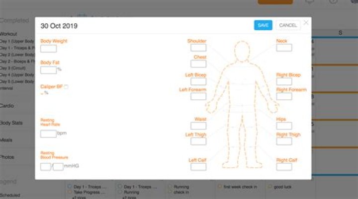 Unveiling Body Stats And Personal Journey