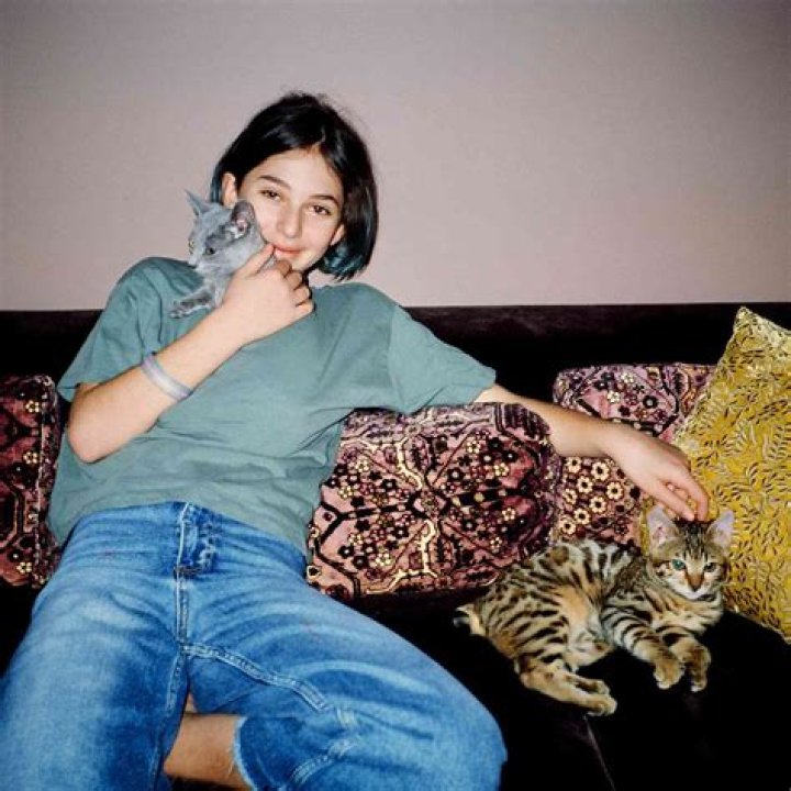 Unveiling David Schwimmer's Daughter: Discoveries And Insights