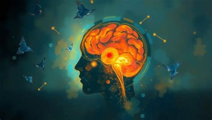 Unveiling The Hidden World Of Left-Handed Social Media Users