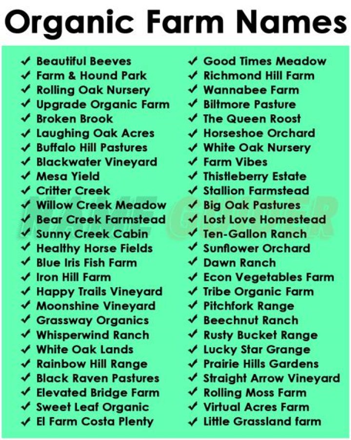 Your Guide To Unforgettable Farm Names